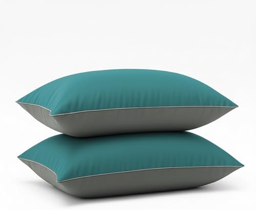 Cloth Fusion Microfiber Pillow Set of 2 - 16x24 Inches