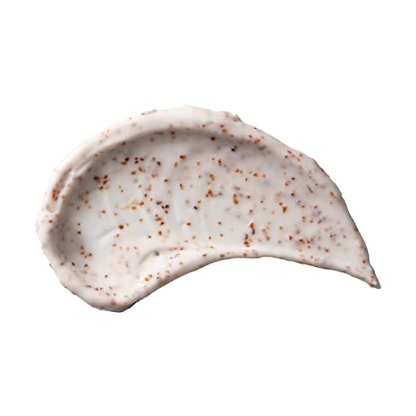 Burt's Bees Deep Cleansing Pore Scrub with Peach and Willow Bark, 4 Ounces, Pack of 3