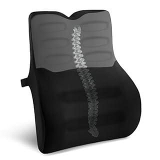 Quirlig Cuscino Lombare Auto, Cuscino Lombare Sedia Ufficio Ergonomico, Cuscino Schienale Auto, Supporto Lombare per Auto, Ufficio, Casa, Nero