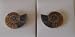* Ammonite Fossil pair *