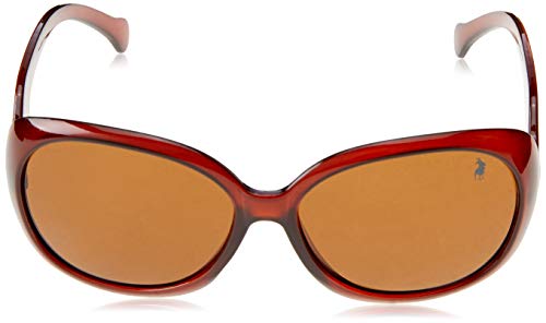 Polo London Club, London Club 75003, Óculos de sol, Feminino, marrom, Único