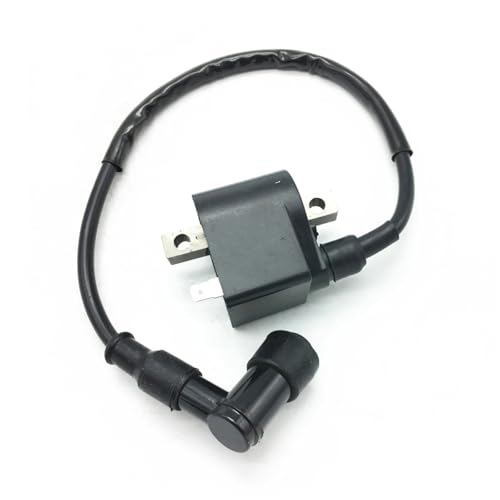 Bobine d'allumage pour Suzuki LT 50 afin de rouler en quad en pleine nature
