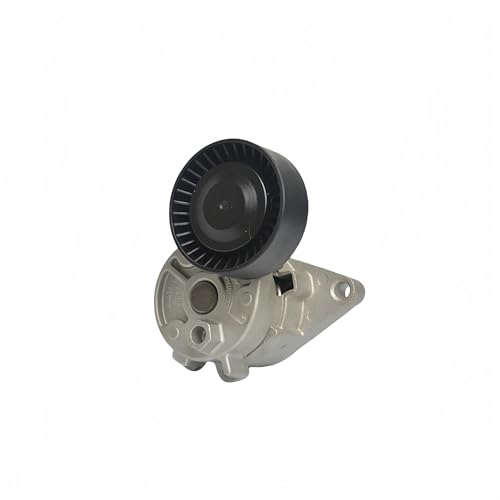 Tendeur de courroie d'origine 11281433571 haute résistance pour moteur essence BMW 728i