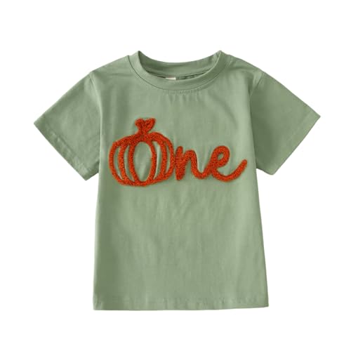 Baby Boys Girls Halloween Shirts One Pumpkin Patch Embroidery T-Shirt 1Year Kids Cute Pumpkin Graphic Tees Fall Tops