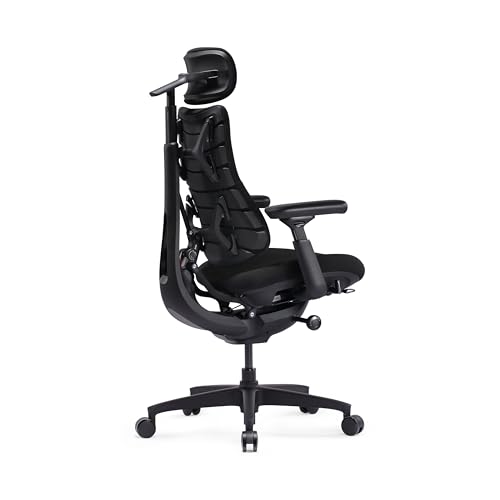 LiberNovo SE Ergonomischer Bürostuhl Schreibtischstuhl mit manueller Lendenwirbelstütze 5 Neigungspositionen Computerstuhl für langes Sitzen für Homeoffice Büro und Gaming Obsidian 48cm