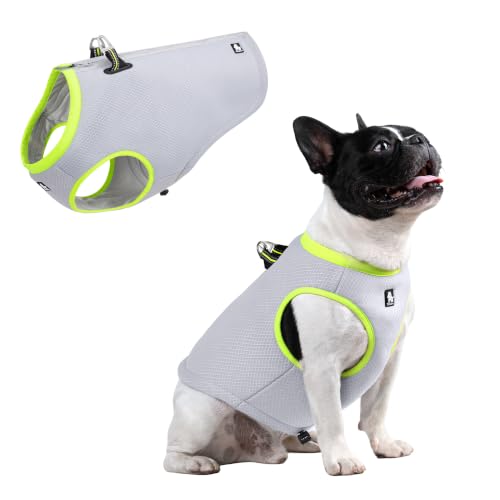 Truelove Dog Cooling Vest Harness