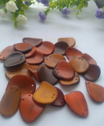 20 Brown Slices Curved - Nail Shape from Colombia Rainforest. Top drilled Two Holes. Size: 3 x 2cm R-1048