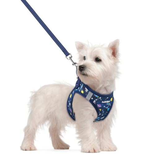 Image of rabbitgoo Dog Harness Small Sized and Leash Set, Step-in Puppy Pet Vest