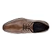 ECCO Men's CITYTRAY Cap Toe Tie Oxford, Brown (AMBER), 10 US medium
