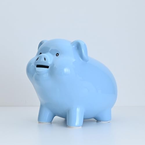 8“Ceramic Piggy Bank for Adults Must Break to Open,Girls Piggy