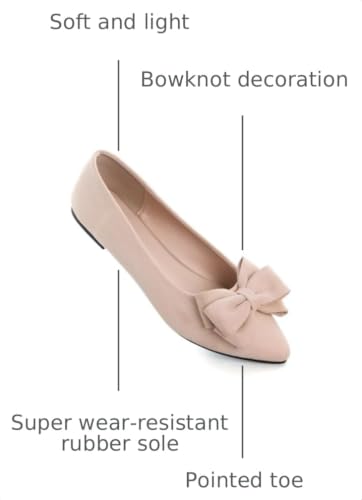 Image of TN TANGNEST Women Fashion Bowknot Flats Comfort Pointed Toe Dress Shoes