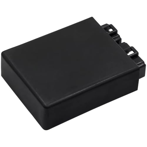 Boîtier CDI numérique ZZR400 avec gestion électronique haute précision