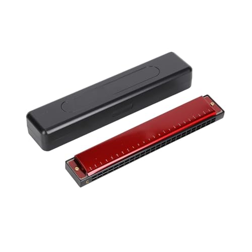Harmonica polyphonique 24 trous en Do pour débutant et expert
