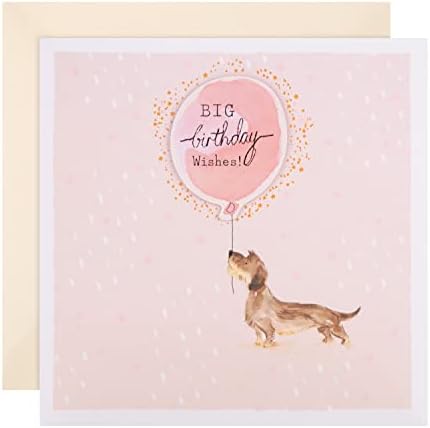 General Birthday Card from Hallmark - Cute Photographic Design