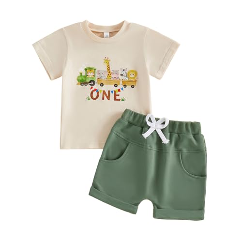 Lamuusaa Birthday Boy Outfit 1 Year Old Short Sleeve Cartoon Animal T-shirt Shorts First Birthday Cake Smash Outfit (Green, 12-18 Months)