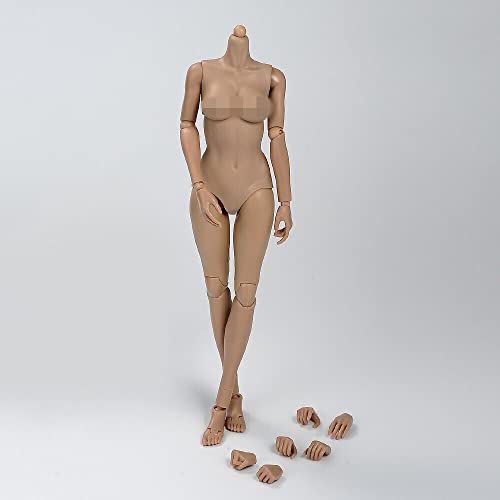 1/6 Scale Female Body, 12inch Suntan Skin Middle Bust Flexible Action Figure Body Doll Collection