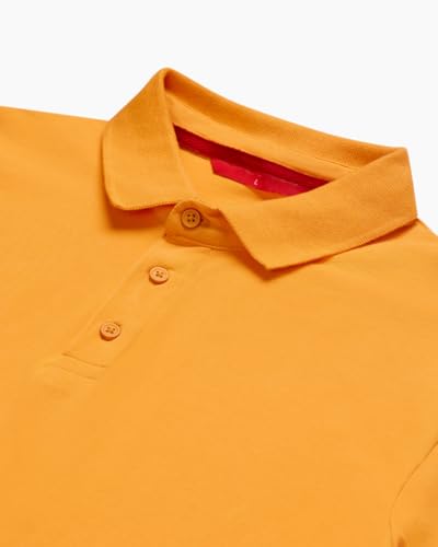 Image of LUDIC Core Polo T-Shirt, Dailymove Collection | Regular Fit | Stand-up Collars | 100% Organic Cotton, 240 GSM | Lightweight & Comfortable |Everyday Essential | Polo T-Shirt for Men