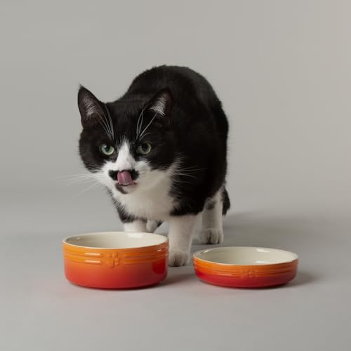 Scruffs Ombre 2pc Cermaic Cat Food & Drink Bowl Set - Orange