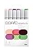 Produktbild COPIC Sketch Set "Floral Favorite 1", 6 Twin Marker mit einer mittelbreiten und einer Brush-Spitze