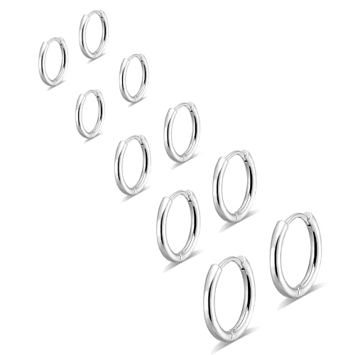 JUNENTER �T�y�A �����ȃV���o�[�t�[�v�s�A�X�Z�b�g �L���[�g�ȃw���b�N�X�n�M�[�s�A�X ���f�B�[�X �����Y ��h���� 316L �X�e�����X�X�`�[�� �����ȓ�s�A�X �t�[�v �V���o�[�t�[�v�s�A�X �����̃s�A�X�W���G���[�M�t�g 6mm 6mm 8mm 