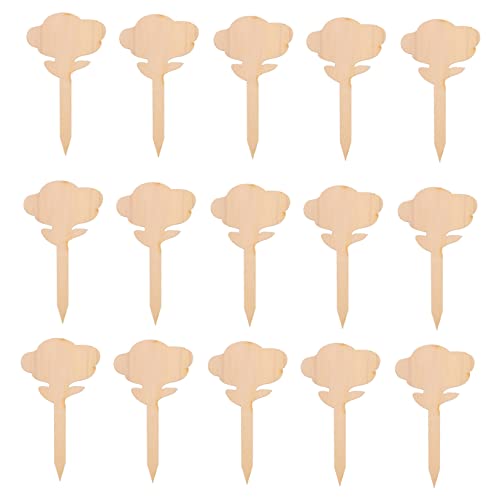 SEWOART 50 Piezas Etiquetas de Jardín de Madera Forma Marcadores para Plantas Etiquetas Reutilizables para Huertos y Invernaderos Decorativas y Prácticas