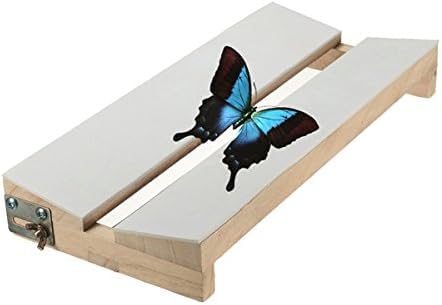 Brccee AC New Adjustable V Shape Insects Butterfly Spreading Mounting Board Solid Wood Wings - Thumbnail 7