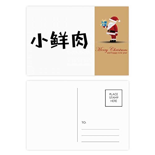 Cartes postales Beau garçon Père Noël lot de 20 pour table