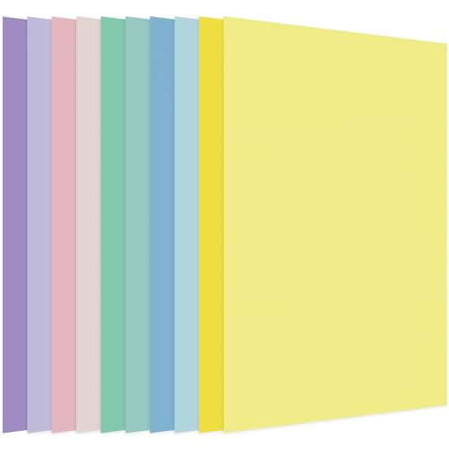 Papier cartonné de couleur pastel 21,6 x 27,9 cm Whaline solide