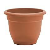 Bloem Fiskars 20-56110 Ariana Planter with Self-Watering Grid, 10'