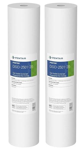 Pentair Pentek DGD-2501-20 Big Blue Water Filter, 20-Inch Whole House Sediment Filter Cartridge Replacement, Dual-Gradient Density Spun Polypropylene, 20" x 4.5", 1 Micron, Pack of 2, White