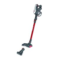 Hoover H-FREE 100 PETS
