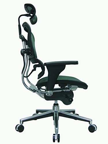 Image of Ergohuman Eurotech Seating High Back Mesh Managers Chair, Green