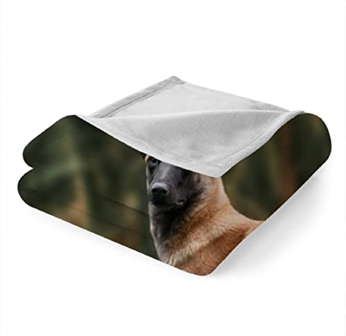 Plaid microfibre Berger Malinois impression 3D haute définition de luxe - 3