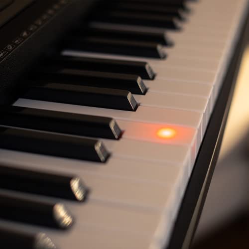 Axus AXP2L Clavier portable à 61 touches lumineuses type piano, synthétiseur à touches dynamiques lumineuses de taille… - Les Beatles, Paul McCartney, John Lennon, RIngo Starr, George Harrison Axus AXP2L Clavier portable à 61 touches lumineuses type piano, synthétiseur à touches dynamiques lumineuses de taille… – Image 4