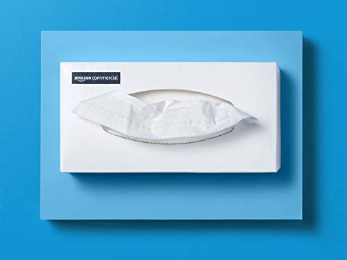 AmazonCommercial Facial Tissue Flat Box, 100 Sheets per Box, 30 Boxes - 416968