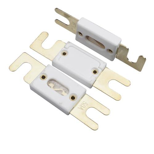 ANTJWXYQ O ouro de cerâmica 80 V do fusível de cerâmica do carro do parafuso do fusível de ANL prateado (ANL-C125A)