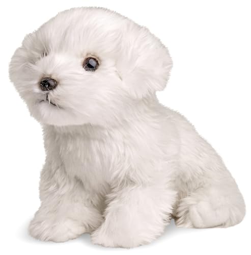 Uni-Toys - Malteser (ohne Leine) - 26 cm (Länge) - Plüsch-Hund, Haustier - Plüschtier, Kuscheltier