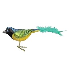 Green Jay