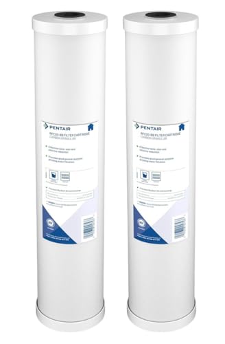 Image of Pentair Pentek RFC20-BB Big Blue 20 inch x 4.5 inch Carbon Water Filter, Pack of 2 | Radial Flow Granular Activated Carbon Reduces Chlorine Taste and Odor for Over 100,000 Gallons