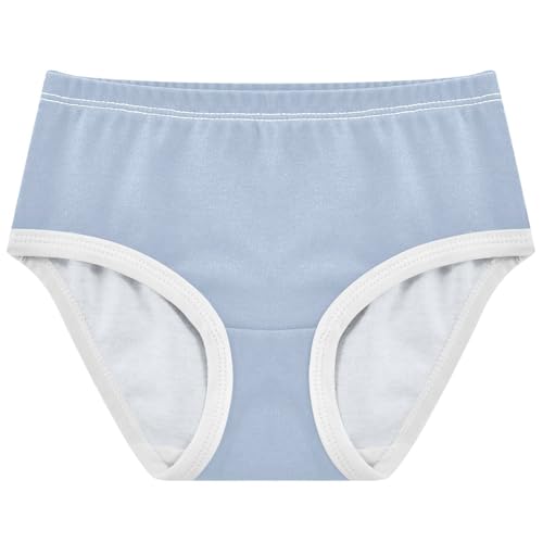 Joisal Florals Girls Underwear Toddlers 2t Cotton Panties Little Girl Grey Steel Blue Kids Briefs Undies