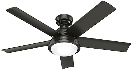 Hunter 52417 Seawall 52" Outdoor Ceiling Fan with LED Lights and Wall Control, Noble Bronze