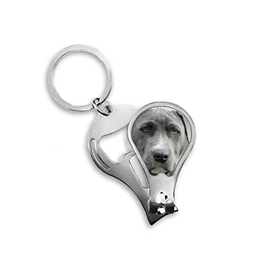 Pet photo clipper cutter de griffes pour le toilettage serein de votre chien à la maison