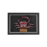 Liyoakyo Real Crab Taxidermy – Framed Preserved Specimen for Coastal Wall Decor, Beach Home Art, or Educational Display (Purple Samurai Crab, 6.6 × 4.6 × 1.8 in)