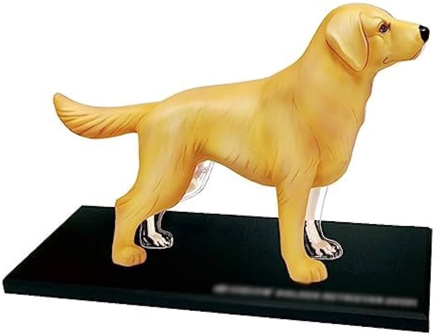 Merten HO 人体模型、動物模型セットまとめ売り Merten HO 人体模型、動物模型セットまとめ売り