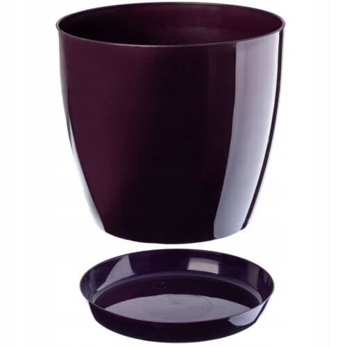 B2C Plant Pot Flower 20 Colours 9 sizes Gloss Plastic Plant Pots Planter Saucer Tray Deco (12 cm/ 4.7 inch, Plum)