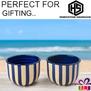 HS Hindustani SAUDAGR Coastal Stripes Ceramic Bowl    Set of 2(320ml Each) Soup Bowl    Without Handle & Spoon Microwave Safe Bowls katori Ideal for Snacks Rice dal Desserts and Gifting. - Image 5 thumbnail