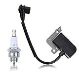 Atunee A411000020 Ignition Coil Module for Echo ES-2000 ES-2100 ES-211 ES-2400 PB-1000 PB-1010 PB-201 PB-2100 PB-2455 PB-2155 Leaf Blower with Spark Plug Replace A411000021