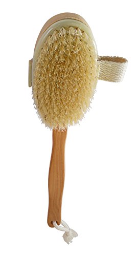 Maple Wood Bath Brush with long Handle