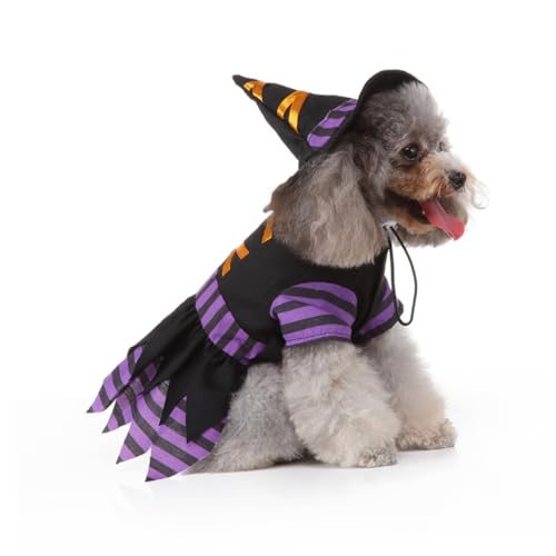 Disfraz Halloween de Bruja para Perros Talla L miniatura 5