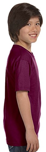 Hanes Boys' TAGLESS®, ComfortSoft®, Crewneck T-Shirt,X-Large, Ash3